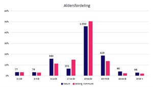 Aldersfordeling (4)