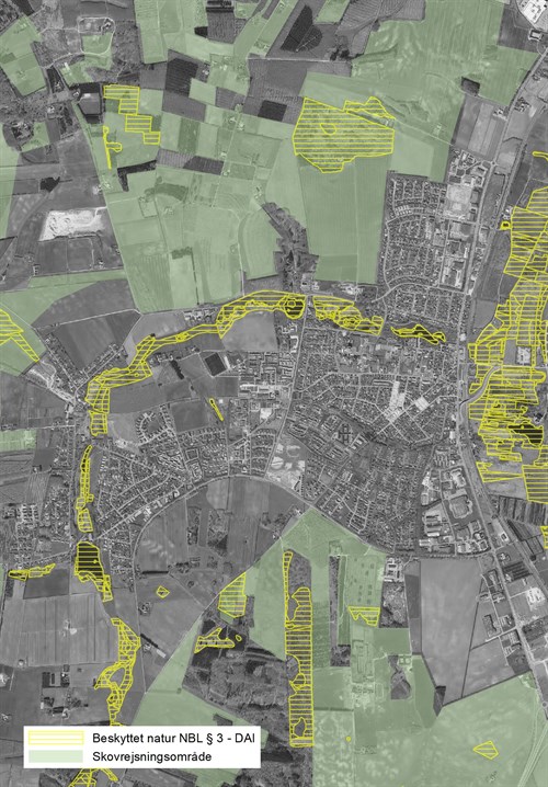 Svenstrup Beskyttet Natur Og Skovrejsningsomraader