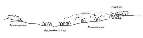 Svenstrup Bebyggelse I Landskabet